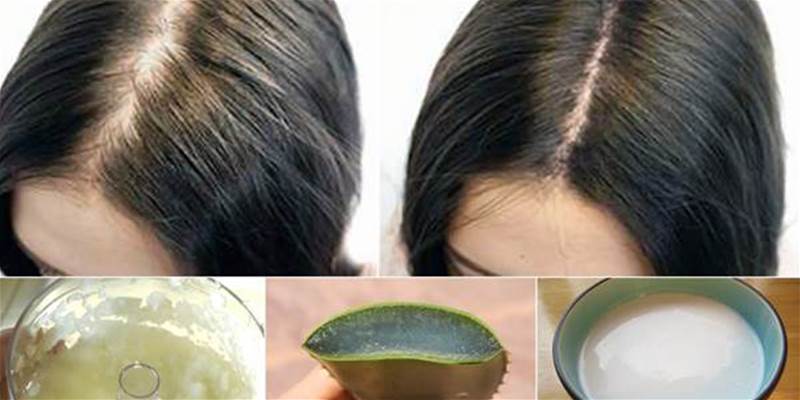 4 receitas naturais para combater a queda de cabelo!